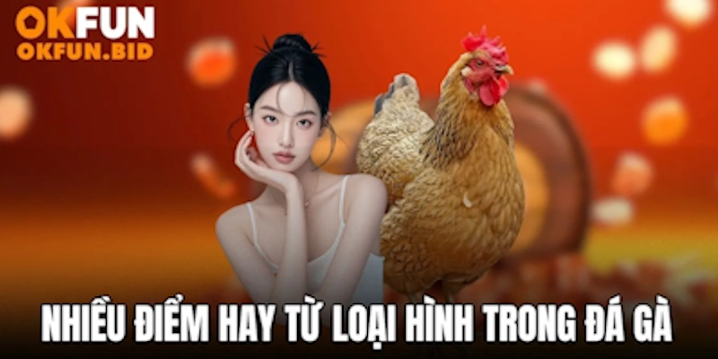 Nhiều điểm hay từ loại hình này trong đá gà