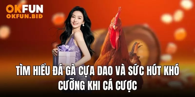 đá gà cựa dao okfun