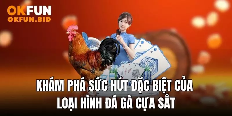đá gà cựa sắt okfun