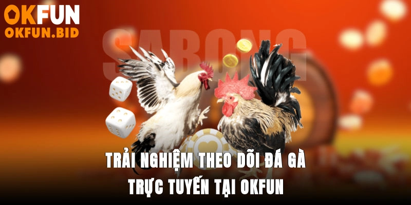 Trải nghiệm theo dõi đá gà trực tuyến tại OKFUN